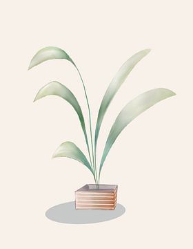 Strelitzia potplant van Lieve Aerts