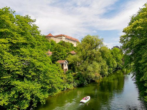 Blick auf den Neckar in Tübingen mit Bäumen und Häusern