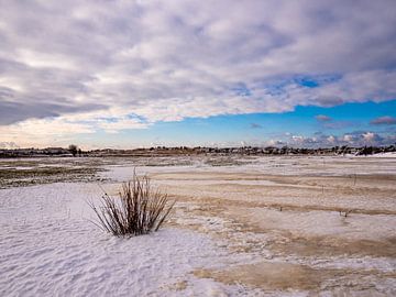 Winter in De Zilk van Dirk van der Plas