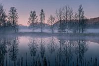 Reflection in the morning