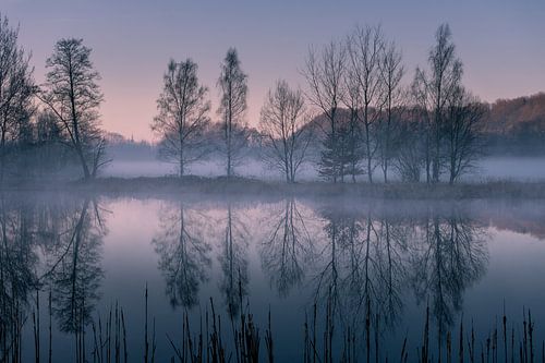 Spiegelung am Morgen