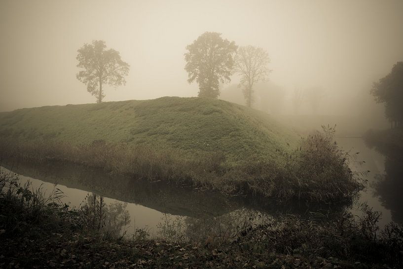 Trees in a misty landscape. by Adri Vollenhouw