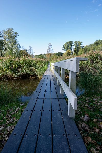 Veldpark Zaandam van Peter Bartelings