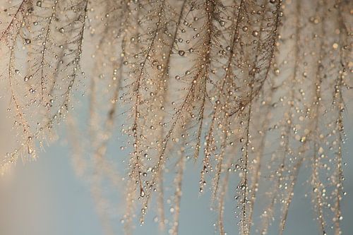 Waterval van regendruppels