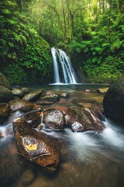 Cascade dans la jungle en Guadeloupe sur Jean Claude Castor