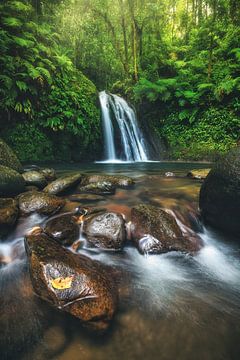Wasserfall im Dschungel auf Guadeloupe von Jean Claude Castor