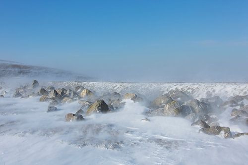 Les vasières d'hiver