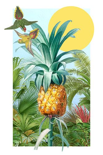 a Tropical Pineapple Collage by Marja van den Hurk