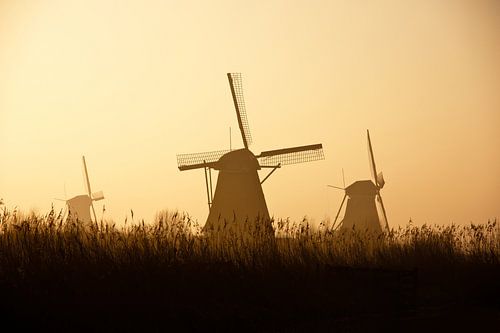 Silhouetten Kinderdijk in kleur