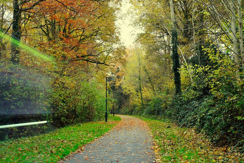 Old train track,transformed into a bicycle route. by Rudi Everaert