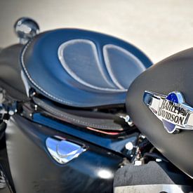 Harley Davidson legend among motorcycles by Jan Radstake