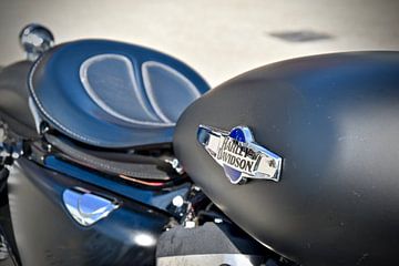 Harley Davidson de legende onder de motorfietsen van Jan Radstake