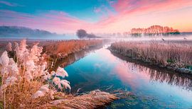 Winterlandschap met rivier