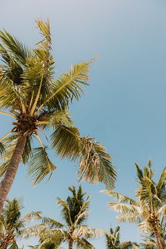 Tropisch Paradijs: Palmbomen op een Wit Zandstrand onder Helderblauwe Hemel van Troy Wegman