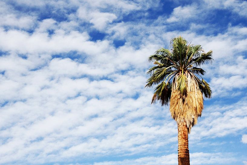 Bewölkter Nachmittag II von Walljar