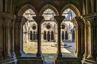 Kathedraal van Porto van Peter Schickert thumbnail