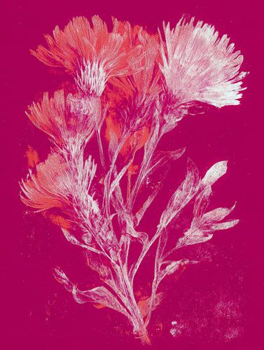 Flowers in magenta - expressive modern art with natural elegance by But First Framing