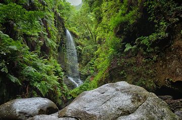 Los Tilos waterval op het eiland La Palma van Iris Heuer
