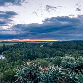 Zonsondergang in Swellendam van Luuk Molenschot