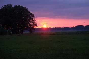 Sonnenuntergang horizontal