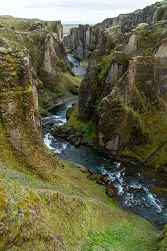 Fjaðrárgljúfur Canyon mit bewachsenen Felswänden