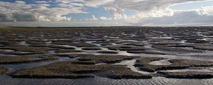 Waddenzee bij Westhoek (Het Bildt)