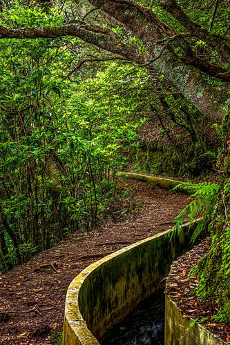 Wandelen langs de Levada