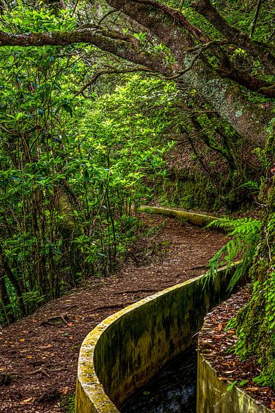Wandelen langs de Levada van Thomas Herzog