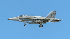 Boeing F/A-18C Legacy Hornet der VFA-131 Wildcats.