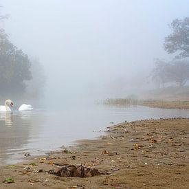 Serene autumn morning in the Water Supply Dunes by KCleBlanc Photography