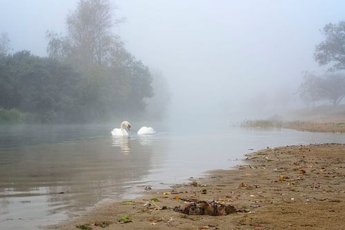 Serene herfstochtend in de Waterleidingduinen van KCleBlanc Photography