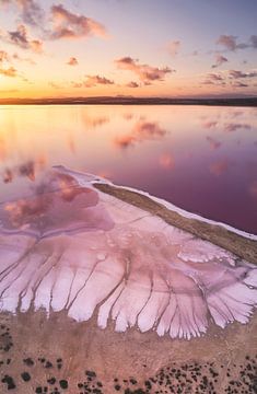 Pink lake, Antonio Carrillo Lopez by 1x