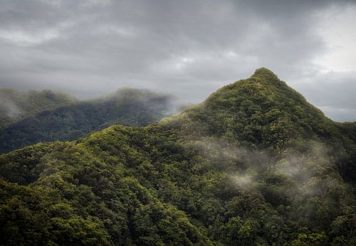 Het mistige berglandschap van Madeira 5