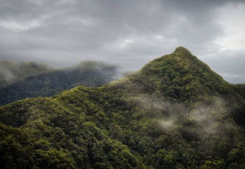 Die neblige Berglandschaft Madeiras 5 von Maickel Dedeken