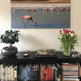 Customer photo: Laguna Hedionda and flamingos by Eveline Dekkers
