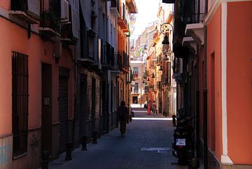 Granada stad in het warme voorjaar. van Jan Katuin