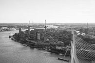 Het topje van de Erasmusbrug in Rotterdam van MS Fotografie | Marc van der Stelt thumbnail