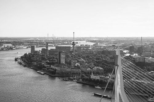 Het topje van de Erasmusbrug in Rotterdam