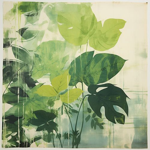 Feuille de monsterica