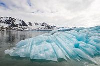 A whimsical iceberg