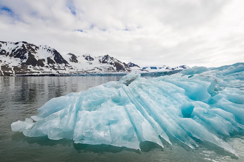 A whimsical iceberg by Carol Thoelen