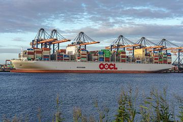 OOCL Spain containerschip. van Jaap van den Berg