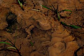 Abstraktion auf dem Grabenboden von Theo Felten