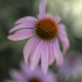 Dreamy Garden by Anneliese Grünwald-Märkl