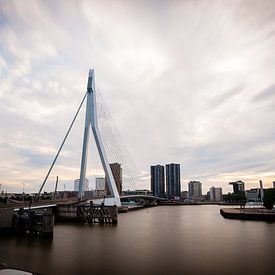 Rotterdam, de Erasmusbrug by Parallax Pictures