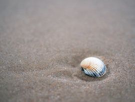 Simple shell by Lex Schulte