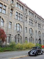 Ente vor Altbau