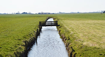 Prairie avec un pont