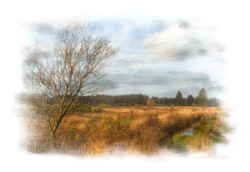 High Fens by Dieter Beselt