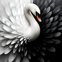 Yin Yang Schwan